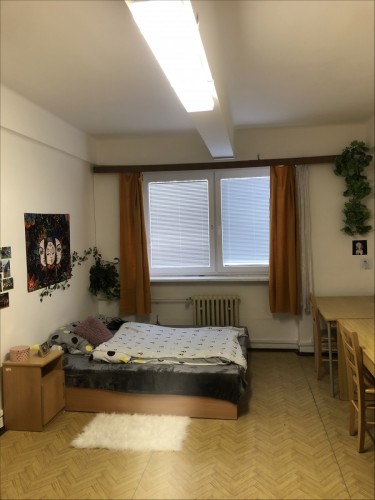 obr_193_0007.jpg